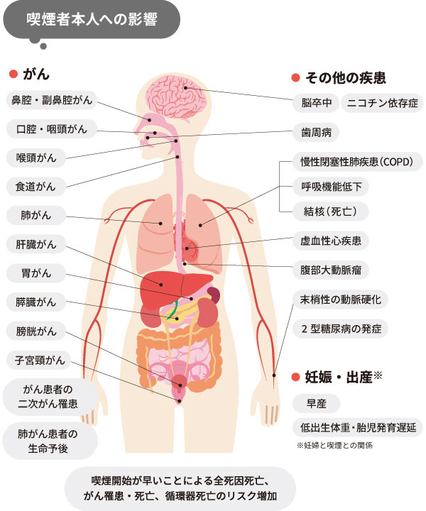 タバコの喫煙者本人への影響